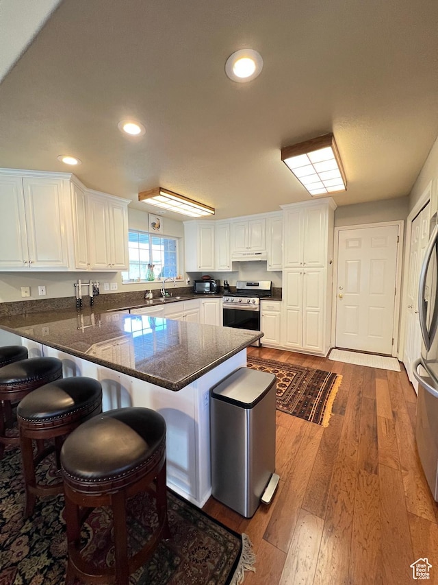kitchen featuring recessed lighting, white cabinetry, under cabinet range hood, stainless steel appliances, and a sink