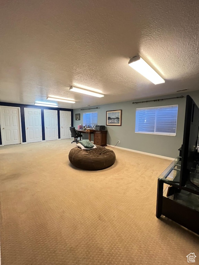 sitting room with a textured ceiling, baseboards, and carpet