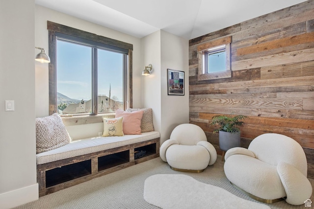 living area with wood walls and carpet