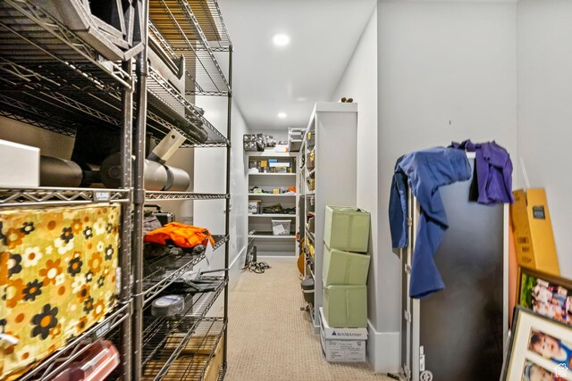 view of storage room