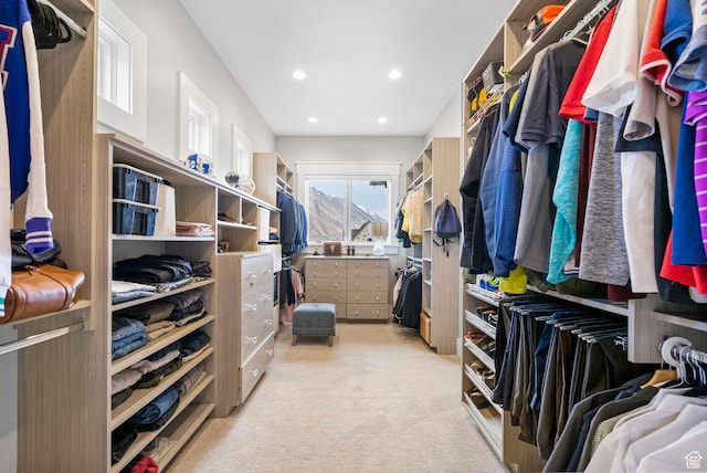 spacious closet with light colored carpet