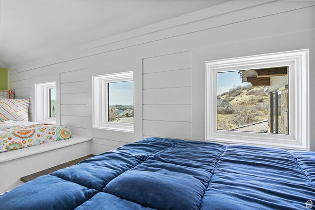 bedroom featuring multiple windows