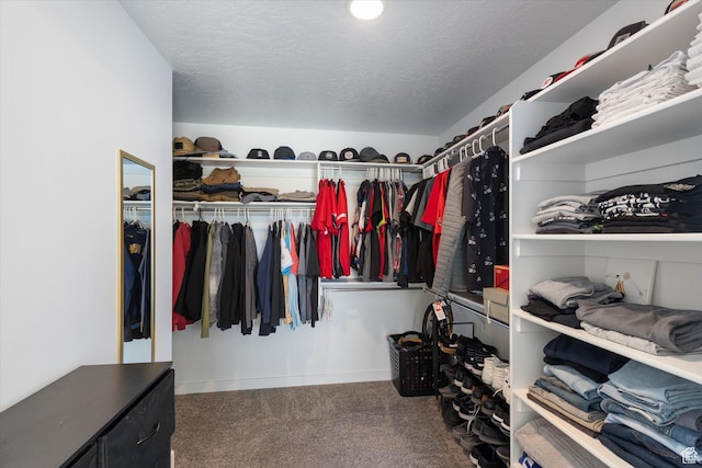 283 E Echo Ledge Dr S, Saratoga Springs, UT 84045 - spacious closet featuring carpet