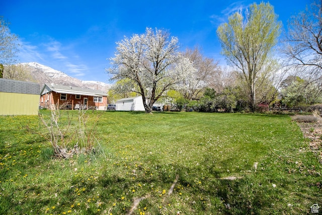 view of yard with an outbuilding, a mountain view, and a shed