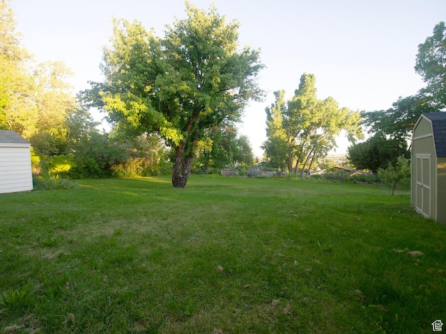 view of yard featuring an outbuilding