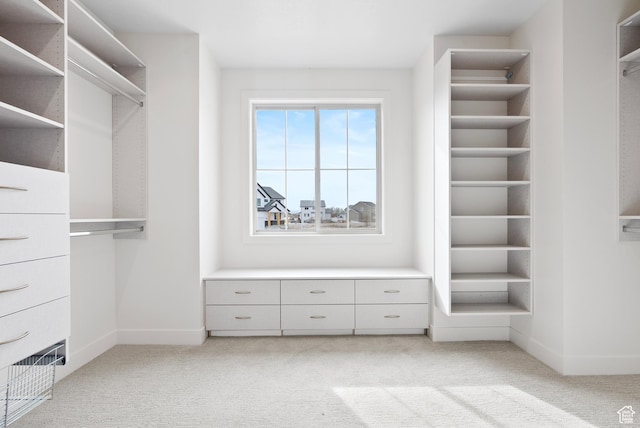 spacious closet featuring light colored carpet