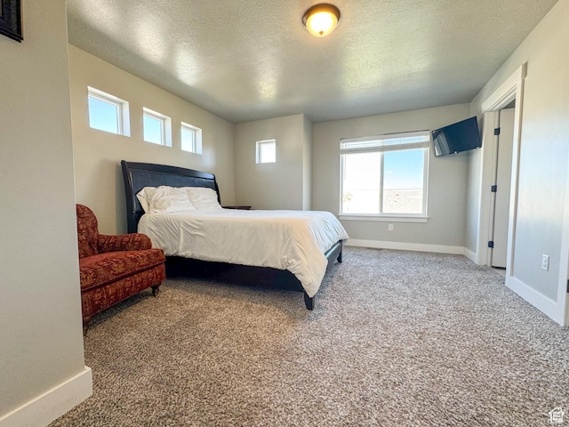 847 E 275 N Unit 847, Hyrum, UT 84319 - carpeted bedroom featuring multiple windows, a textured ceiling, and baseboards