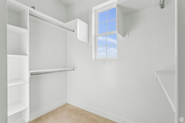 walk in closet with light colored carpet