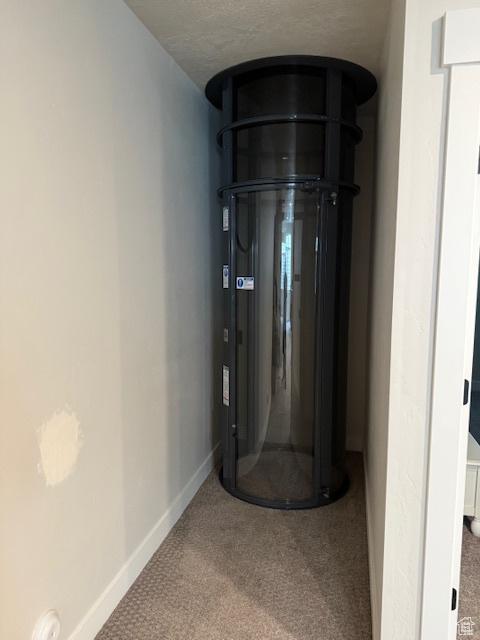 328 E 1100 S, Centerville, UT 84014 - interior details with carpet and baseboards