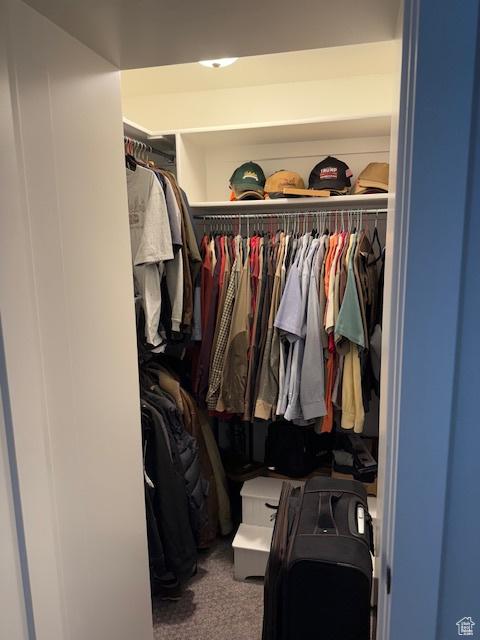 328 E 1100 S, Centerville, UT 84014 - walk in closet with carpet