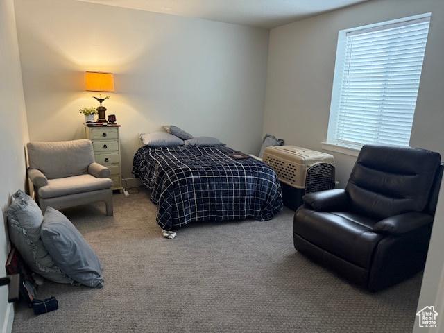328 E 1100 S, Centerville, UT 84014 - view of carpeted bedroom