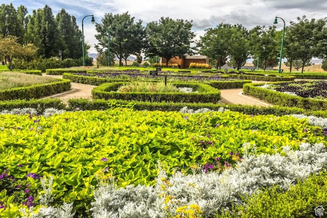 view of property's community