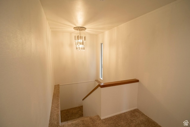 stairway featuring an inviting chandelier and carpet floors