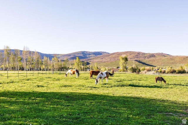 528 W Weber Canyon Rd, Oakley, UT 84055 - view of mountain backdrop featuring a pastoral area and rural landscape