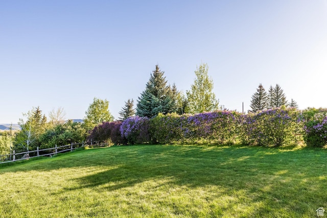 528 W Weber Canyon Rd, Oakley, UT 84055 - view of yard