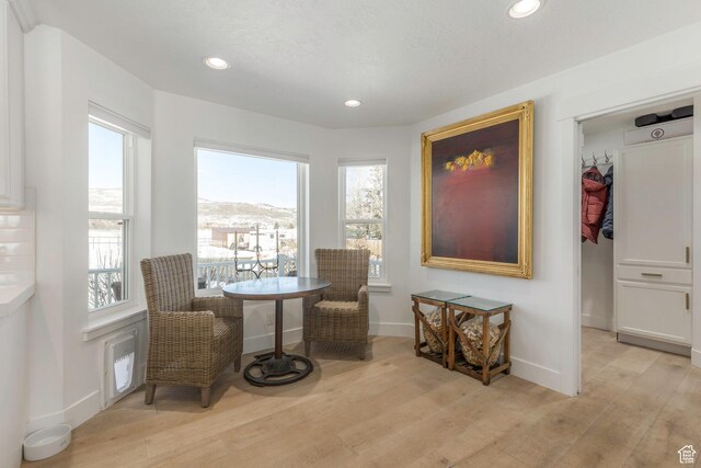 528 W Weber Canyon Rd, Oakley, UT 84055 - living area featuring light wood-style floors, baseboards, and recessed lighting