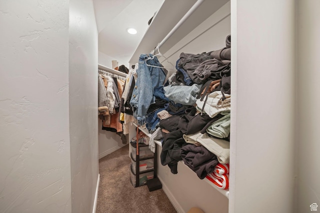 walk in closet with carpet flooring