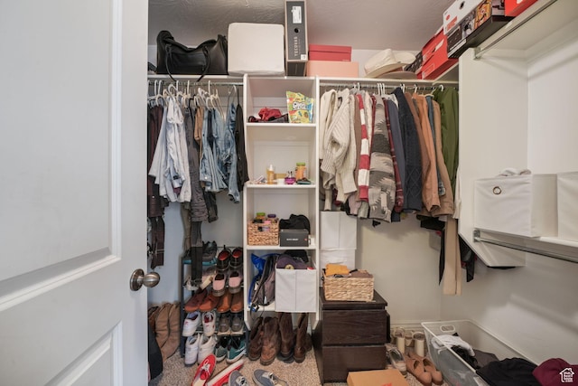 view of walk in closet