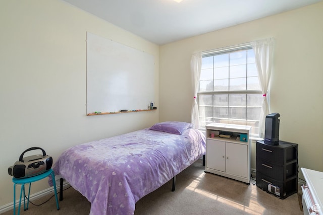 430 N 470 W Unit 14, Lehi, UT 84043 - bedroom featuring carpet floors