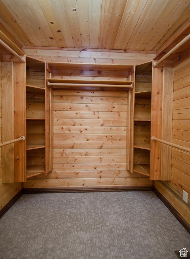 3804 E 2050 N, Eden, UT 84310 - spacious closet featuring carpet floors