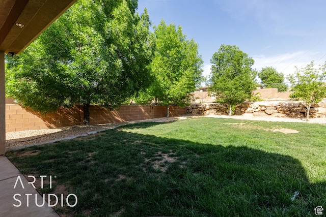 view of yard with a fenced backyard