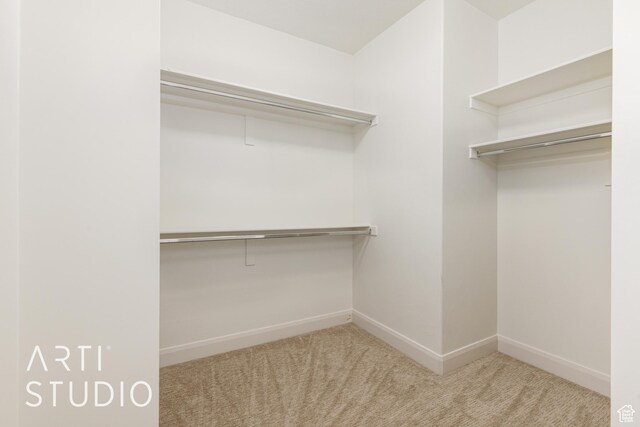 walk in closet with carpet flooring