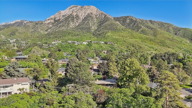 3391 E Brockbank Dr S, Millcreek, UT 84124 - view of mountain background