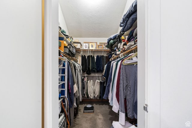 4042 Saddleback Rd, Park City, UT 84098 - walk in closet featuring carpet