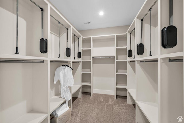 1816 S 920 W, Hurricane, UT 84737 - spacious closet with light carpet