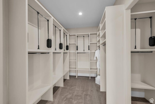 1816 S 920 W, Hurricane, UT 84737 - spacious closet with carpet floors