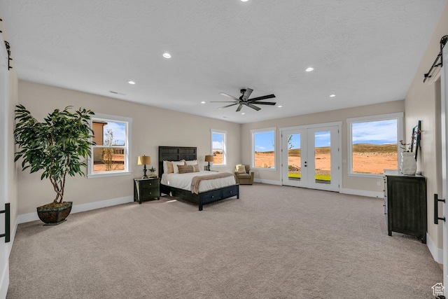 1816 S 920 W, Hurricane, UT 84737 - bedroom with light carpet, a barn door, access to outside, and multiple windows