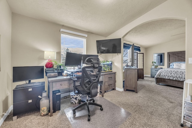 224 E Leadville Rd, Eureka, UT 84628 - carpeted office space featuring a textured ceiling, baseboards, vaulted ceiling, and arched walkways