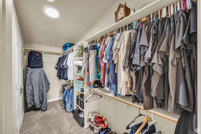 224 E Leadville Rd, Eureka, UT 84628 - walk in closet featuring carpet