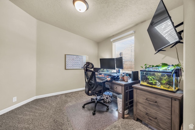 224 E Leadville Rd, Eureka, UT 84628 - home office featuring a textured ceiling, carpet flooring, and baseboards
