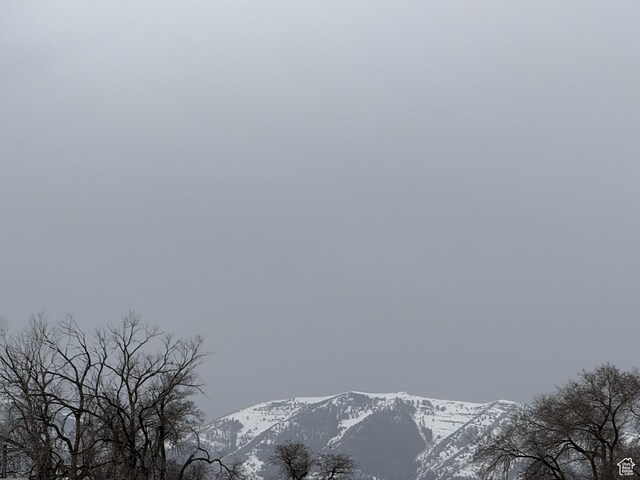100 E Pine St E, Rush Valley, UT 84069