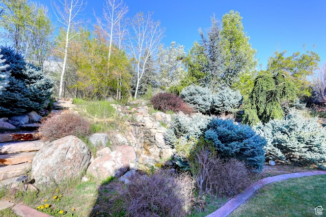 view of nature
