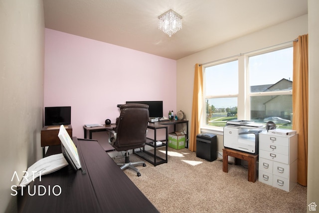 office space with carpet
