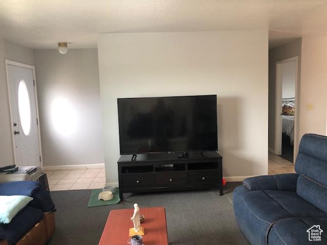 living area featuring carpet floors, baseboards, and tile patterned flooring