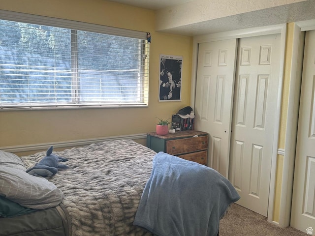 bedroom featuring a closet and carpet floors