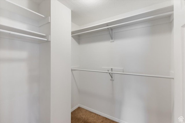 walk in closet with carpet floors