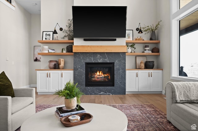 living room with light wood finished floors and a premium fireplace