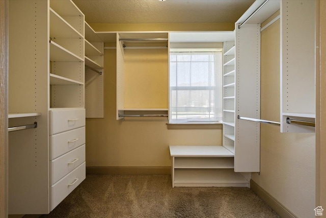 spacious closet with carpet