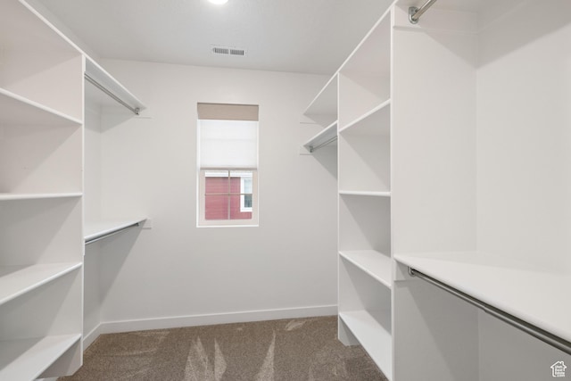 spacious closet featuring visible vents and carpet
