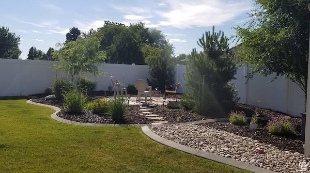 view of yard with a fenced backyard and a patio area