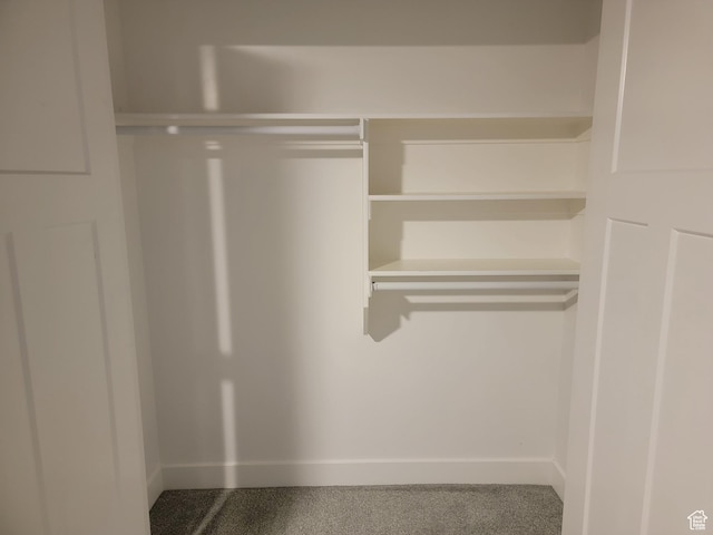 view of closet