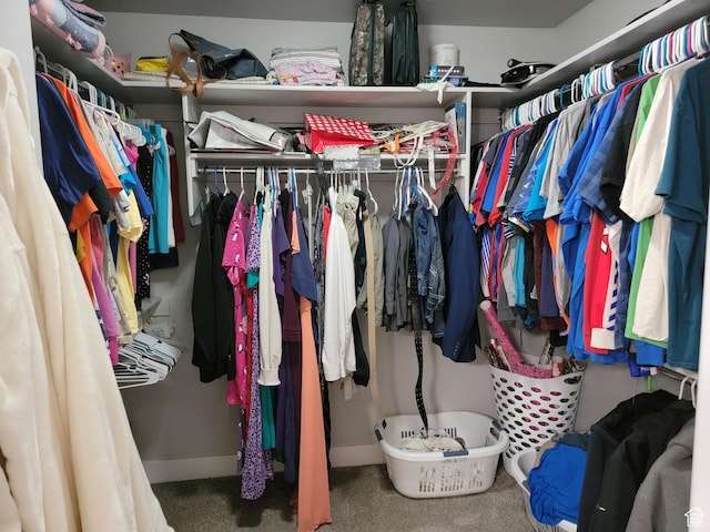 spacious closet featuring carpet flooring
