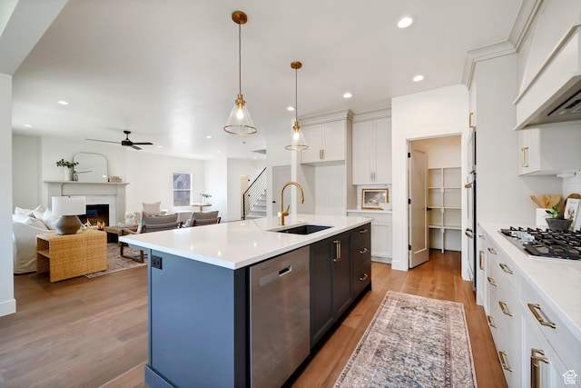 kitchen with appliances with stainless steel finishes, a sink, white cabinets, light wood finished floors, and custom range hood