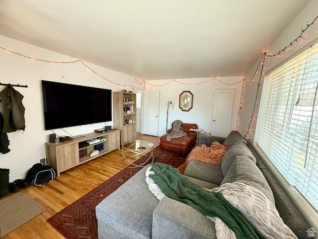living room featuring wood finished floors