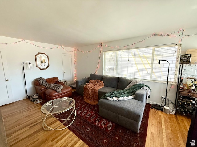 living room featuring wood finished floors