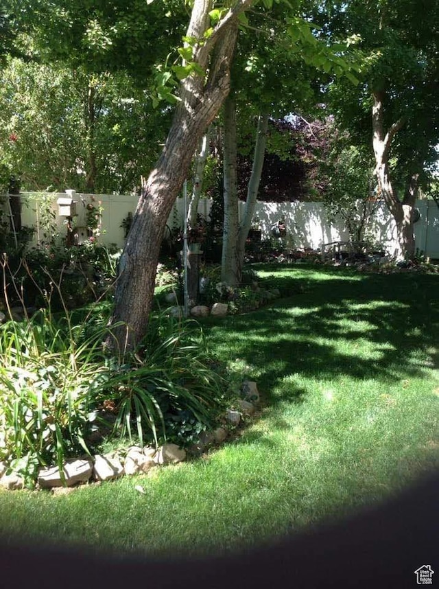 view of yard featuring a fenced backyard
